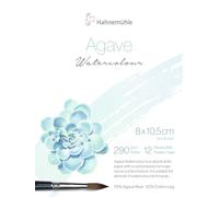 Hahnemuhle - Bloque de acuarela de agave (8 x 10,5 cm)