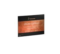 Hahnemuhle Collection Watercolor 300 Block Rough 9,5 x 12,6 pulgadas 300 gsm