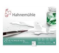 Hahnemuhle Harmony bloque de acuarela, 12 hojas, 30 x 40 cm, prensa caliente