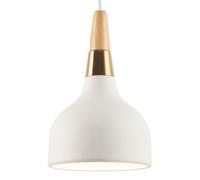 HAIDU Lámpara de araña de estilo industrial moderno, pantalla de metal personalizada, lámpara colgante de un solo cabezal con base E27, iluminación decorativa para sala de estar, comedor y pasillo.