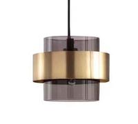 HAIDU Lámpara de araña de un Solo Cabezal con Base E27, Estilo Industrial, de Metal y Vidrio, lámpara de Techo empotrada, Ideal para Decorar Salas de Estar, dormitorios y cocinas.