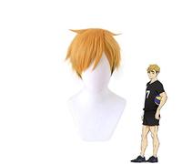 Haikyuu!! Cosplay tsukishima kei Hinata Shoyo Nishinoya Yuu Oikawa Tooru Kozume Kenma kageyama tobio Miya Atsumu Miya Osamu Wig miya atsumu
