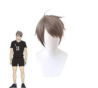 Haikyuu !! Miya Osamu Short Cosplay Peluca Gris-negro Pelo sintético resistente al calor Haikiyu Party Role Play Disfraz Pelucas