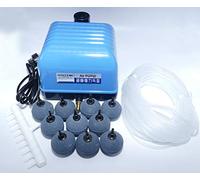 Hailea V60 - Juego de bomba de aire, oxigenador de acuario y estanque con manguera de silicona de 4/6 mm, diramador de 10 y 10 piedras porosas de 50 mm