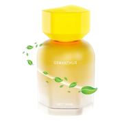 Hailerio Difusor de fragancia para automóvil, ambientadores sólidos de plantas naturales para salpicadero, accesorios difusores de fragancia, antideslizante, multifuncional, decoración interior