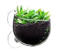 Hailerio Macetas para Plantas Acuáticas, Ventosa Taza para Plantas Acuáticas,Macetas para Plantas de Acuario con ventosas | Soporte para pecera con Plantas vivas de camarón Rojo, Taza para Plantas
