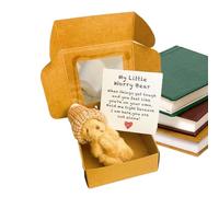 Hailerio Oso Pequeño En Caja, Oso de Peluche en Caja, Animalito Manual con Bolsillo para Tarjeta Inspiracional para Niños Graduación Día de la Madre San Valentín Navidad