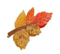 Hair Jaw Clamps, Acrylic Animal Fall Claw Clips, Thanksgiving Hair Accessories for Girls, Friends & Family