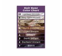 Hair Lightness Level Poster for Cosmetology Students and Salon Color Education