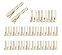 Hair Sectioning Clips, 50 piezas Extended sin límite de metal, duradero largo pelo Styling Clips material, Salon Tool for Sectioning and Coloring, Gear for Styling and Makeup