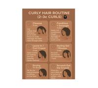 Hair Type Chart Poster Curly Hair Care Routine Steps for Home Salon Decor Gift Idea(Unframed,08x12inch(20x30cm))