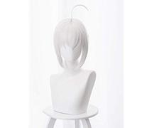 Hairpieces Fate/Grand Order Anime Cosplay Rose Net Wigs HighTemperature Resistant Fiber Ponytail White 12 Inches