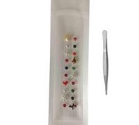 HAJHI Magnético Cuentas Acupuncture Semillas De Oreja Decorativo Masaje De Oídos Para La Relajación Equilibrio Salud Semillas De Oído Punto Masaje Para El Día A Día(Christmas - 20 pcs)