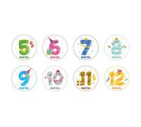HAKIDZEL 12 Pegatinas Decorativas Mensuales para Bebés de Papel, Reutilizables No Dañan la Ropa, Ideales para Señalar Logros Mensuales y Embarazo