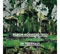 Håkon Kornstad Trio - Im Treibhaus