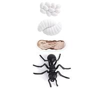 Halearo Figuras de Ciclo de Vida de Insectos, Modelo Educativo de Hormiga, Juguete para Niños Que Aprenden, Vinilo Duradero de 4 Etapas (#2)