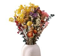 Halinuia 30 ramos de flores secas, 11 especies otoñales, lavanda, Gypsophila y crisantemo. Flores reales para jarrón, bomboneras, resina y velas.