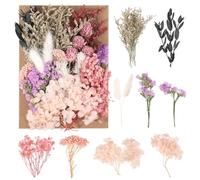 Halinuia Flores secas, verdaderas flores naturales secas reales para DIY vela fabricación artesanal Scrapbooking marco de fotos decoración de boda (púrpura, rosa, rojo)