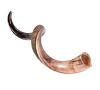 HalleluYAH Shofar kudu medio pulido kudu original de Israel