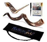 HalleluYAH Shofar kudu yemenita de Israel más cuerno de carnero gratis