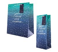 Hallmark Bolsa de regalo de celebración "State of Kind", paquete múltiple