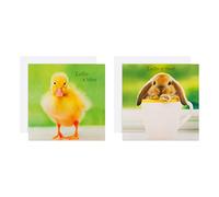 Hallmark Pack de 10 Tarjetas de Pascua, diseño de Pollitos y Conejos, Color Verde, Amarillo y Blanco