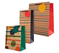 Hallmark Paquete de bolsas de regalo y botellas para múltiples ocasiones, 1 bolsa de regalo grande y 1 mediana, con 1 bolsa de botella en 3 diseños estampados contemporáneos