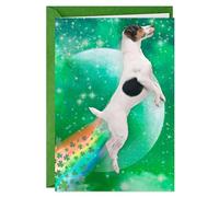 Hallmark Shoebox - Divertida tarjeta del día de San Patricio (arco iris con diseño de perro) para niños, nietos, amigos
