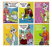 Hallmark Shoebox Maxine - Juego de tarjetas para todas las ocasiones (6 tarjetas con sobres)