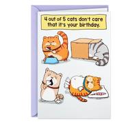 Hallmark Shoebox - Tarjeta de cumpleaños divertida (Cats Don't Care)
