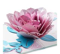 Hallmark Signature Paper Wonder - Tarjeta de cumpleaños o tarjeta de aniversario para mujer (rosa rosa)