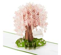 Hallmark Signature Paper Wonder - Tarjeta de cumpleaños romántica para el día de San Valentín, aniversario, amor (árbol de cerezo)