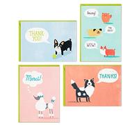 Hallmark Surtido de tarjetas de agradecimiento, lindos perros (48 tarjetas y sobres)