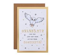 Hallmark Tarjeta de cumpleaños con diseño de búho y letras de Harry Potter Hedwig