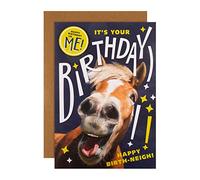 Hallmark Tarjeta de cumpleaños, diseño fotográfico divertido con insignia