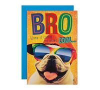 Hallmark Tarjeta de cumpleaños para hermano - Divertido diseño de perro loco como queso