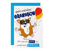 Hallmark Tarjeta de cumpleaños para nieto, divertida, humor, diseño emergente, ilustración de perro, blanco, marrón, azul