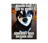 Hallmark Tarjeta de humor para cualquier ocasión Diseño fotográfico