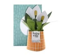 Hallmark Tarjeta emergente, diseño contemporáneo de planta de lirio de la paz