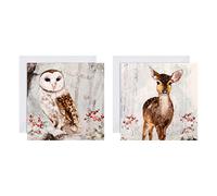 Hallmark Tarjetas de Navidad benéficas, diseños tradicionales de vida silvestre, paquete de 16, tarjetas de Navidad de animales silvestres