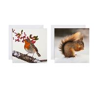 Hallmark Tarjetas de Navidad - Paquete de 16 en 2 diseños de National Geographic, 25572278