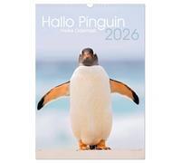Hallo Pinguin (Wandkalender 2026 DIN A3 hoch), CALVENDO Monatskalender: Ein Jahr lang Pinguine auf den Falklandinseln.