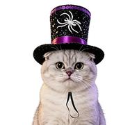 Halloween Cat Hat, Funny Spider Pet Costume, Outdoor Party Outfit, Holiday