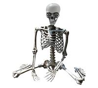 Halloween Esqueleto Prop Deco Halloween Esqueleto Tamaño Real Cuerpo Completo Articulaciones Posables Esqueletos Humano Tamaño completo Mano Vida Cuerpo Anatomía Patrón Decoraciones De Halloween Al