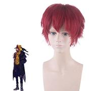 Halloween Fashion Christmas Party Dress Up Perücke Cosplay Perücke König Anime Glory 520 Lover Of Time Liu Bei Red Upturned