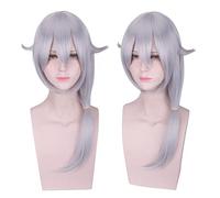 Halloween Fashion Christmas Party Dress Up Wig Collapse School Collapse 3 Bronya Qiyana Fu Hua Qingyan Huayu Huit fleurs de cerisier De Lisa De Lisa Couleur: Pl-498 (De Lisa) Argent