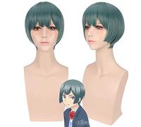 Halloween Fashion Christmas Party Dress Up Wig I'M Too Popular, What Should I Do With The Second Branch Zhima Cosplay Wig
