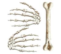 Halloween Haarklammern, Gothic Skelett Hände Haarspangen 3 Stück, Knochen Haar Clips Mit Starkem Halt, Halloween Kostüm Zubehör Für Frauen Mädchen, Cosplay Festival Party Salon Zuhause Reise Geburtsta
