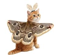 Halloween Pet Moth Wings - Cute Dog & Cat Costume | Soft Felt Wing Cape