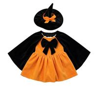 Halloween Porch Goose Outfit - 23inch Witch Hat Costume Spooky Decor Set